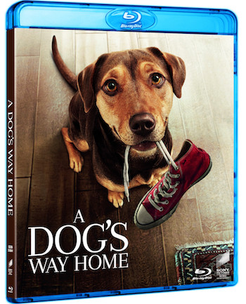 A-Dogs-Way-Home-2019-English-BluRay.jpg