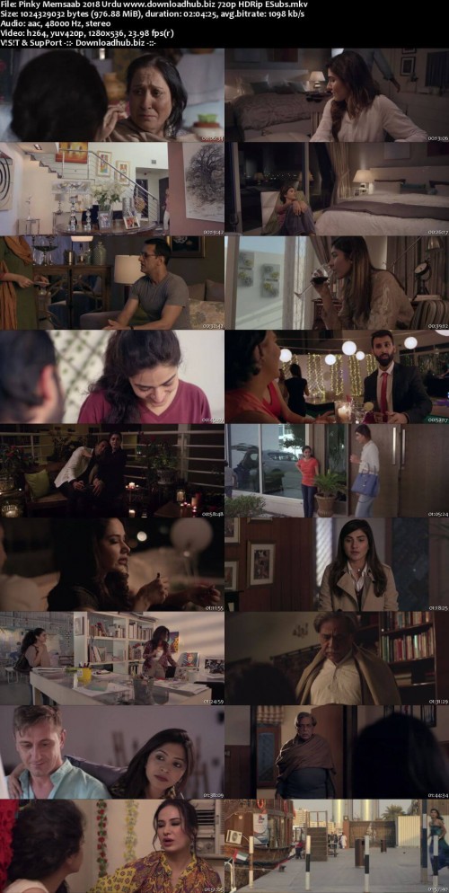 Pinky-Memsaab-2018-Urdu-www.downloadhub.biz-720p-HDRip-ESubs_s.jpg