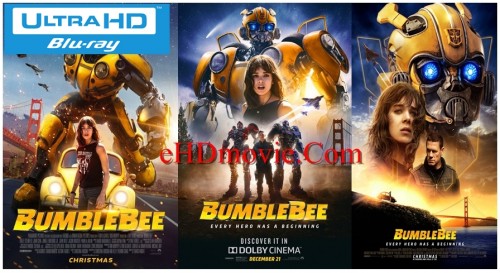 Bumblebee-20183.jpg