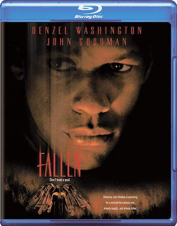 Fallen-1998-Dual-Audio-Hindi.jpg