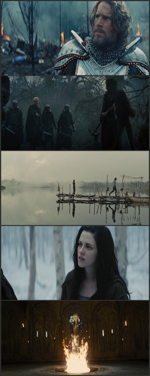 Snow-White-and-the-Huntsman-EXTENDED-2012-1080p-BluRay-Dual-Audio-Hindi-DD-5.1---English-2.0-ESub.mkv.jpg