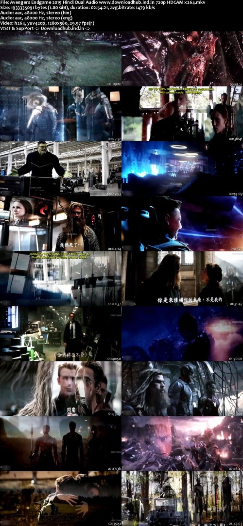 Avengers-Endgame-2019-Hindi-Dual-Audio-www.downloadhub.ind.in-720p-HDCAM-x264_s.jpg