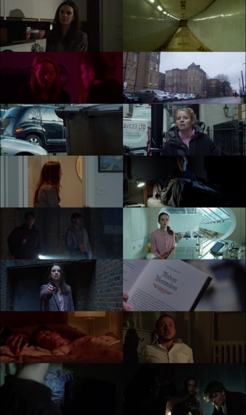 Lord.of.Wolves.2024.1080p.Web.DL.English.DD.5.1.x264.ESubs-1_s.jpg