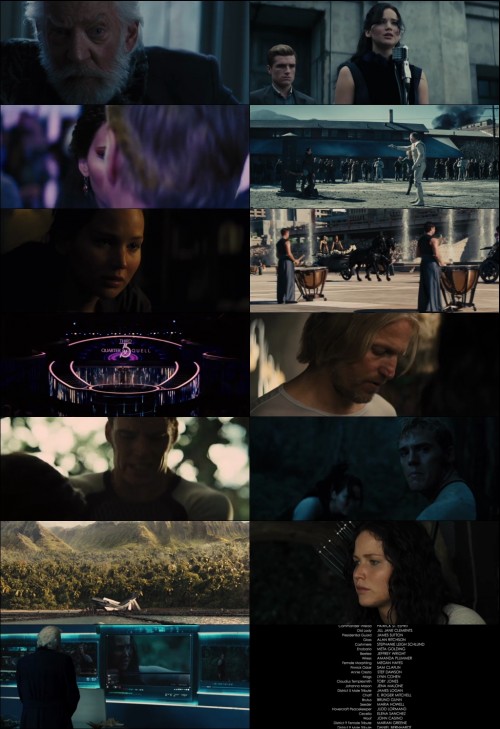 The.Hunger.Games.Catching.Fire.2013.BluRay.480p.x264.Hindi.English.AAC.ESub-Extraflix.net.jpg