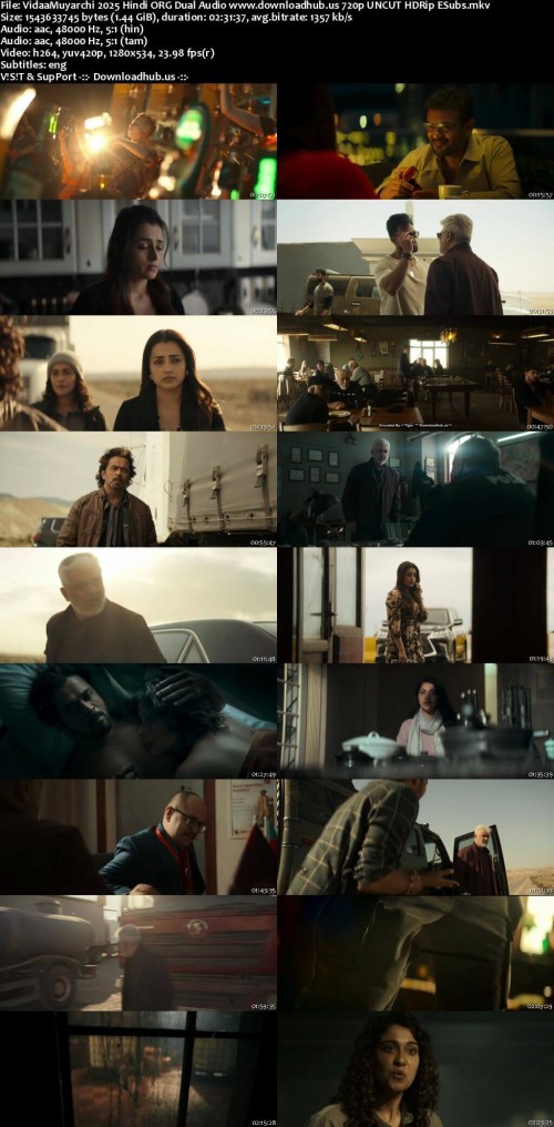 VidaaMuyarchi-2025-Hindi-ORG-Dual-Audio-www.downloadhub.us-720p-UNCUT-HDRip-ESubs_s.jpg