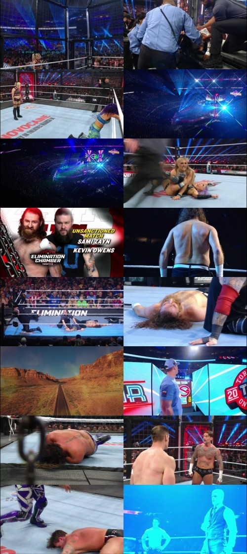 WWE.Elimination.Chamber.2025.1080p.FHD.Hindi-English---Downloadhub_s.jpg