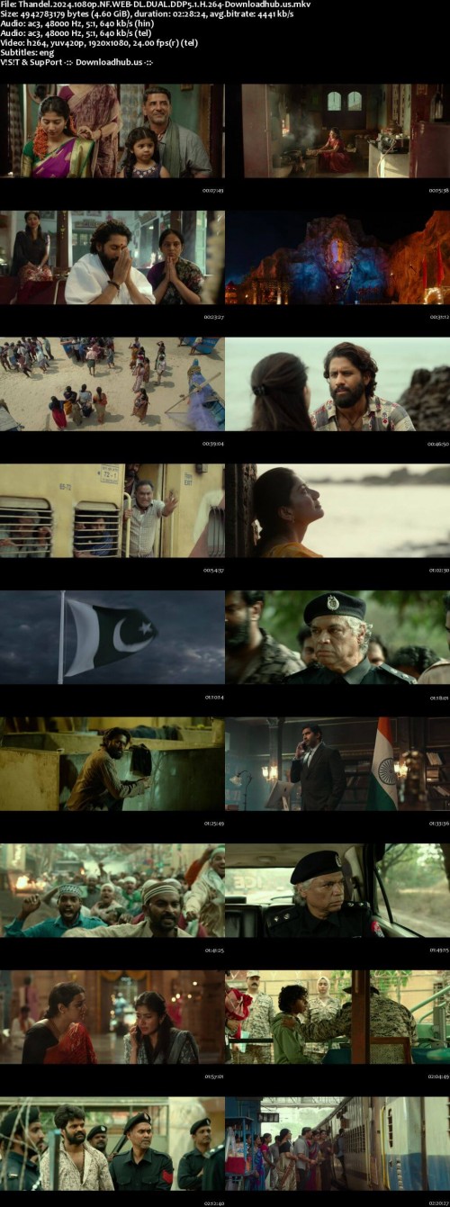 Thandel.2024.1080p.NF.WEB-DL.DUAL.DDP5.1.H.264-Downloadhub.us_s.jpg