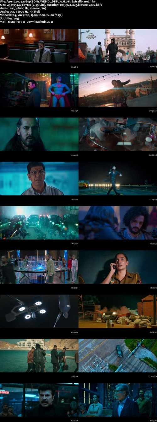 Agent.2023.1080p.SONY.WEB-DL.DDP2.0.H.264-Extraflix.net_s.jpg