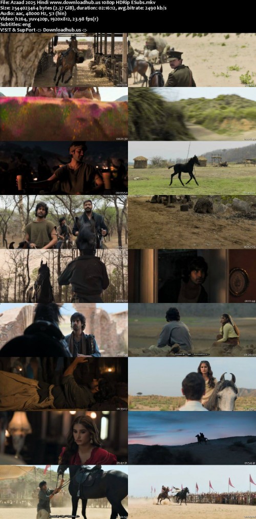 Azaad-2025-Hindi-www.downloadhub.us-1080p-HDRip-ESubs_s.jpg