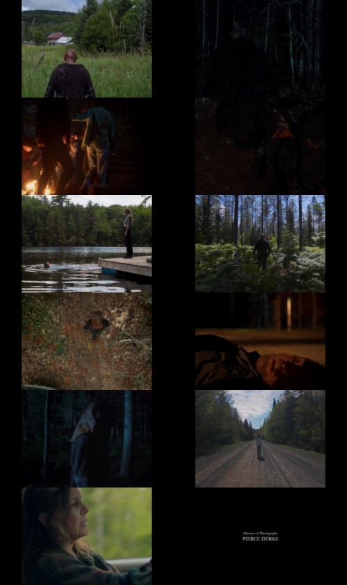 In.A.Violent.Nature.2024.1080p.WEB.HDRip.Hindi.Dual.DD.5.1.x264.ESubs.Full4Movies_s.jpg