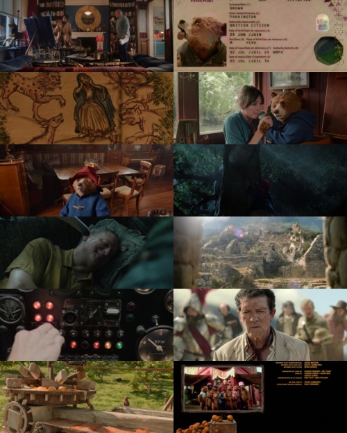 Paddington.In.Peru.2024.1080p.BluRay.Hindi.Dual.DD.5.1.x264.ESubs.Full4Movies_s.jpg