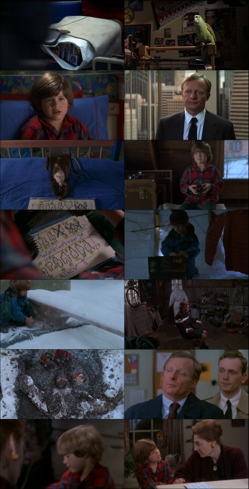 Home.Alone.3.1997.WebRip.720p.x264.Hindi.English.AAC.ESub-ExtraFlix.net.jpg
