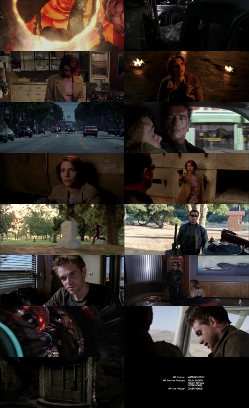 Terminator.3.Rise.of.the.Machines.2003.1080p.BluRay.Hindi.English.DD.5.1.x264.ESubs_s.jpg
