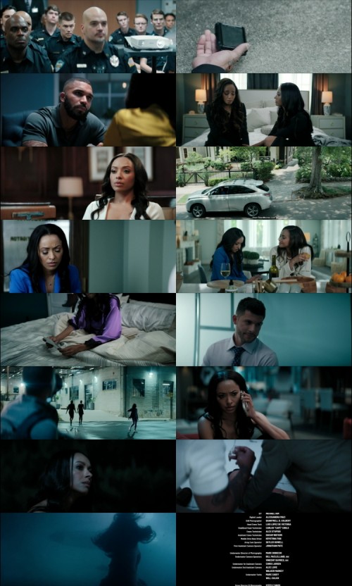 Tyler.Perrys.Duplicity.2025.1080p.WEB.HDRip.English.DD.5.1.x264.FiberMovies.Com_s.jpg