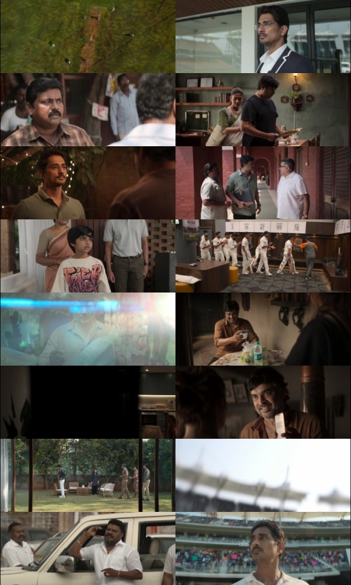 TEST-2025-Hindi-ORG-Dual-Audio-www.DownloadHub.us-1080p-HDRip-MSubs_s.jpg