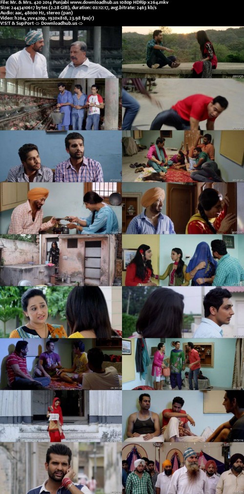 Mr.--Mrs.-420-2014-Punjabi-www.downloadhub.us-1080p-HDRip-x264_s.jpg