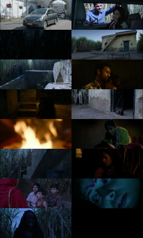 Chhorii-2021-Hindi-www.DownloadHub.us-1080p-HDRip-x264-ESub_s.jpg