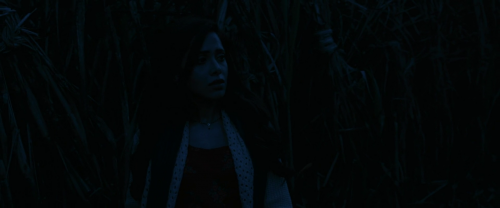 vlcsnap-2025-04-11-07h45m31s655.png