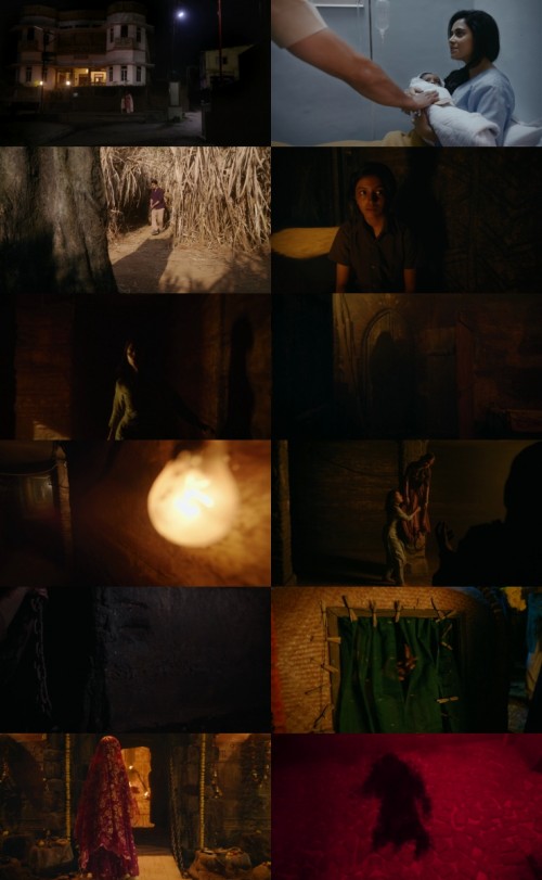 www.FiberMovies.com---Chhorii.2.2025.1080p.WEB.HDRip.Hindi.DD.5.1.x264.ESubs_s.jpg