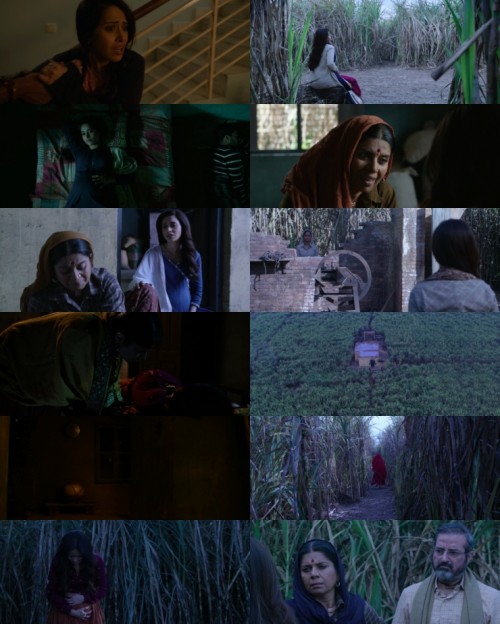 www.FiberMovies.com---Chhorii.2021.1080p.WEB.HDRip.Hindi.DD.5.1.x264.ESubs_s.jpg