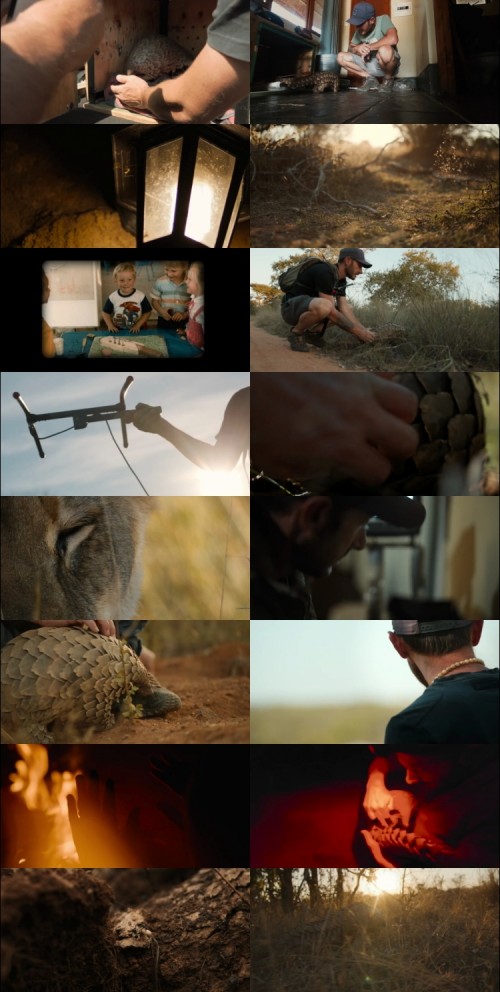 Pangolin-Kulus-Journey-2025-Hindi-ORG-Dual-Audio-www.DownloadHub.us-720p-Web-DL-ESubs_s.jpg