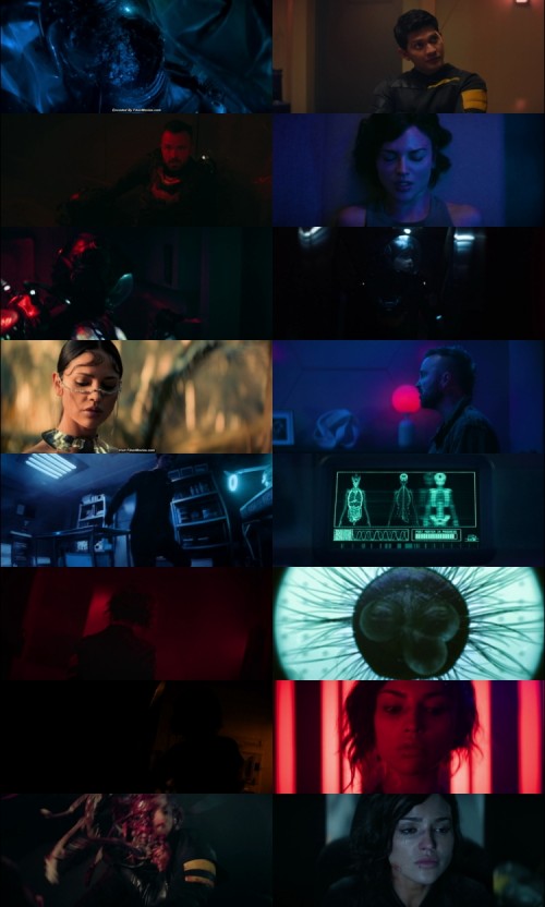 www.FiberMovies.com---Ash.2025.1080p.WEB.HDRip.English.DD.5.1.x264.ESubs_s.jpg