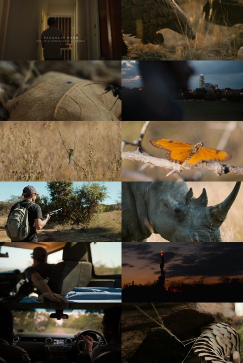 www.FiberMovies.com---Pangolin.kulus.journey.2025.1080p.WEB.HDRip.Hindi.Dual.DD.5.1.x264.ESubs_s.jpg