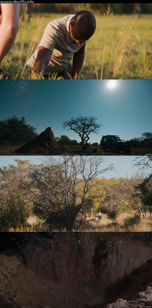 Pangolin-Kulus-Journey-2025-wwww.MovFlix.info-Dual-Audio-Hindi-720p-WEB-DL_s.jpg