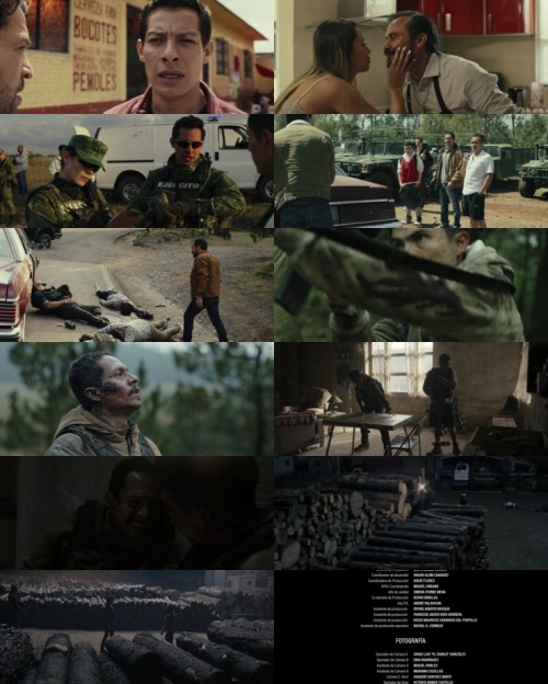 www.FiberMovies.com---The.Counterattack.2025.1080p.WEB.HDRip.Hindi.Dual.DDP.5.1.x264.ESubs_s.jpg