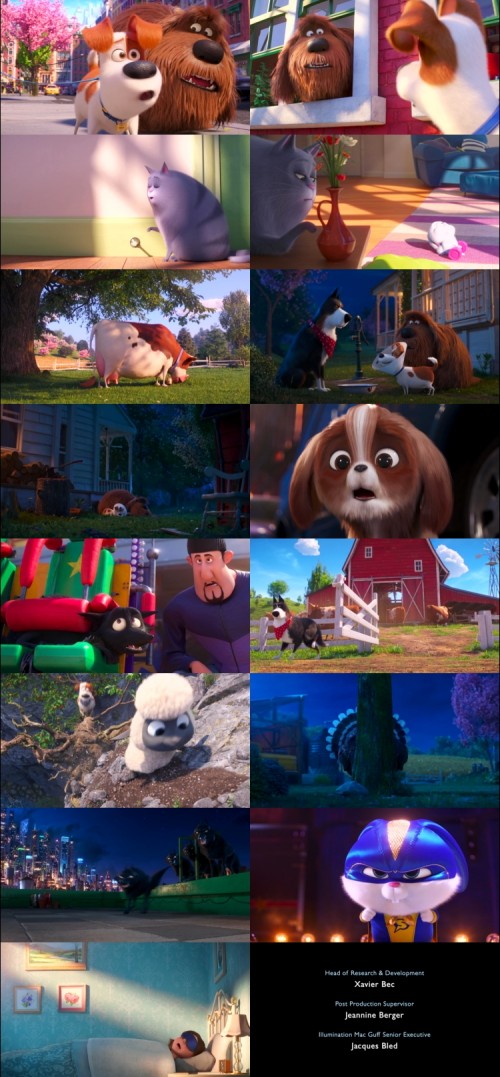 The.Secret.Life.of.Pets.2.2019.1080p.BluRay.Hindi.English.DD.5.1.x264.ESubs_s.jpg