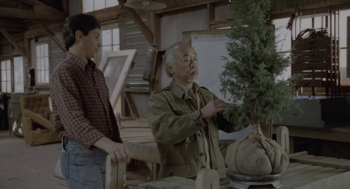 vlcsnap-2025-04-26-00h02m28s321.png