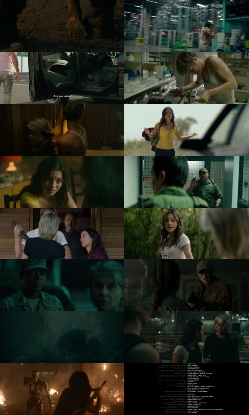 Terminator.Dark.Fate.2019.1080p.BluRay.Hindi.English.DD.5.1.x264.ESubs_sb8b1c9333752eb36.jpg
