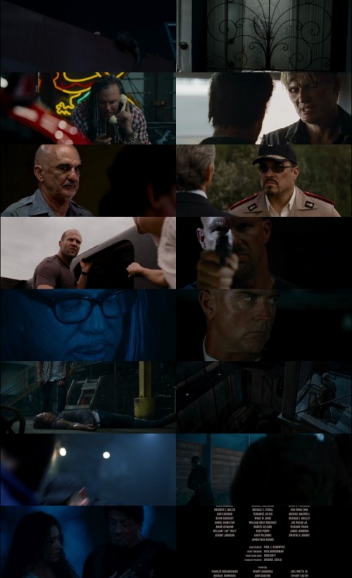 The.Expendables.2010.1080p.BluRay.Hindi.English.DD.5.1.x264.ESubs_sabd7f88228cf9da1.jpg