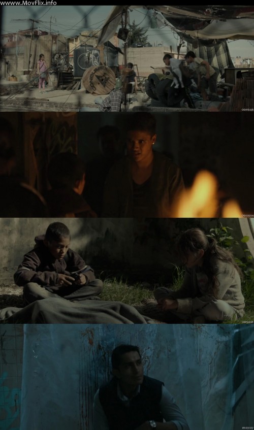 Tigers-Are-Not-Afraid-2017-wwww.MovFlix.info-Dual-Audio-Hindi-Spanish-720p-BluRay_s.jpg
