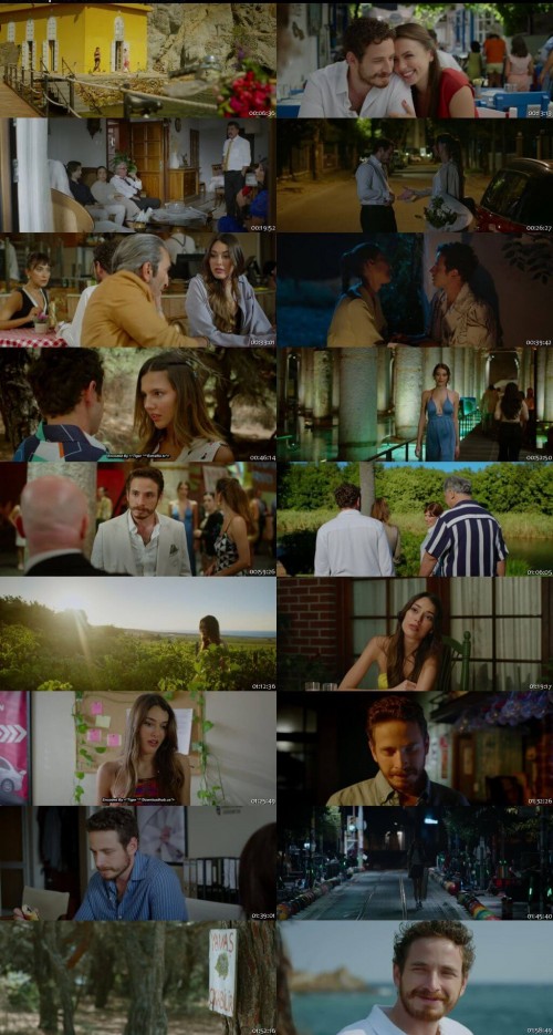 Season-of-Love-AKA-Ask-Mevsimi-2024-Hindi-ORG-Dual-Audio-www.downloadhub.pl-1080p-Web-DL-ESubs_s.jpg
