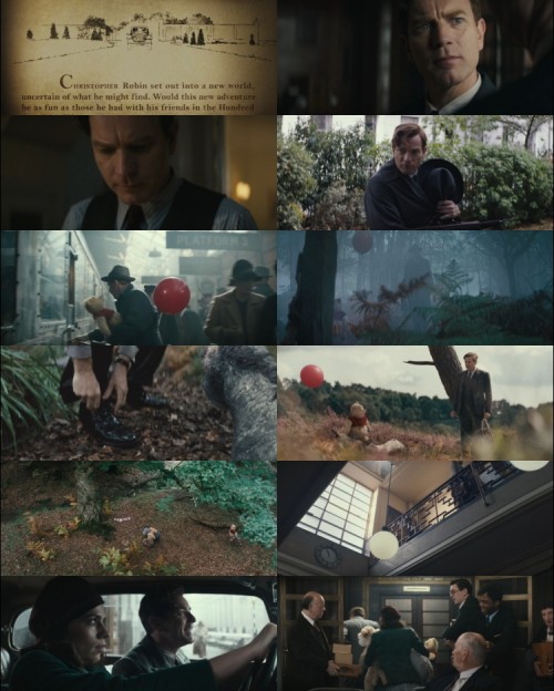Christopher.Robin.2018.1080p.BluRay.Hindi.English.DD.2.0.x264.ESubs_s.jpg