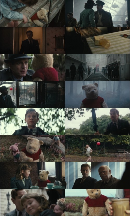 Christopher.Robin.2018.1080p.BluRay.Hindi.English.DD.2.0.x264.ESubs_s.jpg