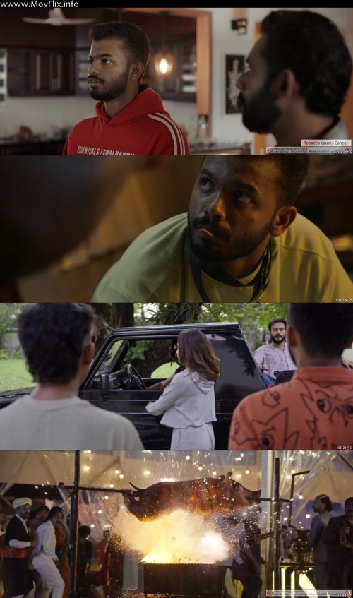 Bromance-2025-wwww.MovFlix.info-Dual-Audio-Hindi-Malayalam-720p-WEB-DL_s.jpg