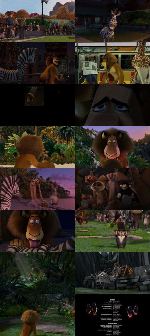 Madagascar.2005.1080p.BluRay.Hindi.English.DD.2.0.x264.ESubs_s2651e79df6c223f8.jpg