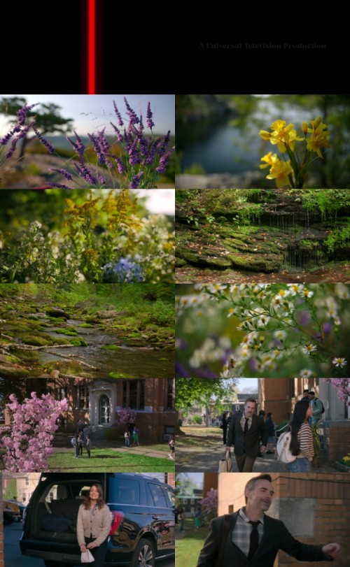 The.Four.Seasons.S01E01.Lake.House.1080p.nf.web-dl.multi.ddp5.1.atmos.h.264-FiberMovies.com_s.jpg
