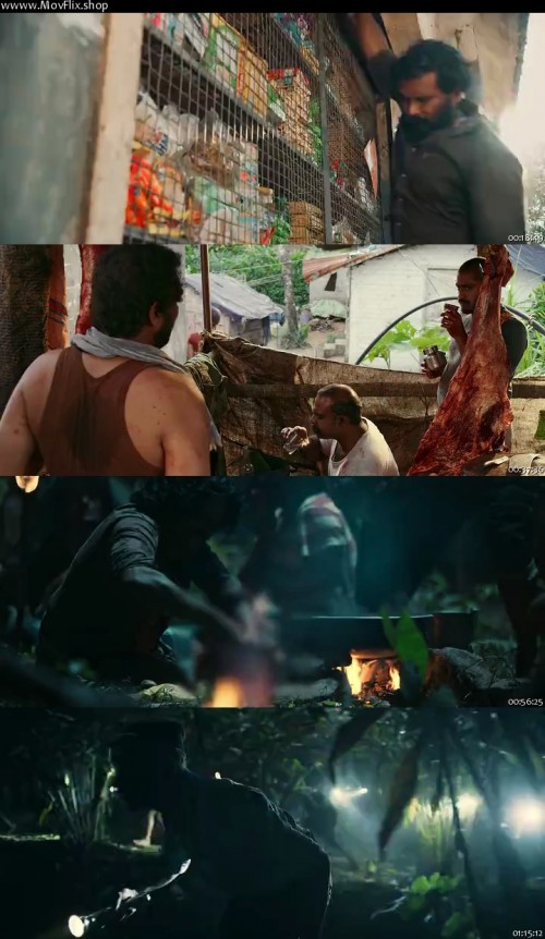 Jallikattu-2019-wwww.MovFlix.shop-Dual-Audio-Hindi-Malayalam-480p-WEB-DL_s.jpg