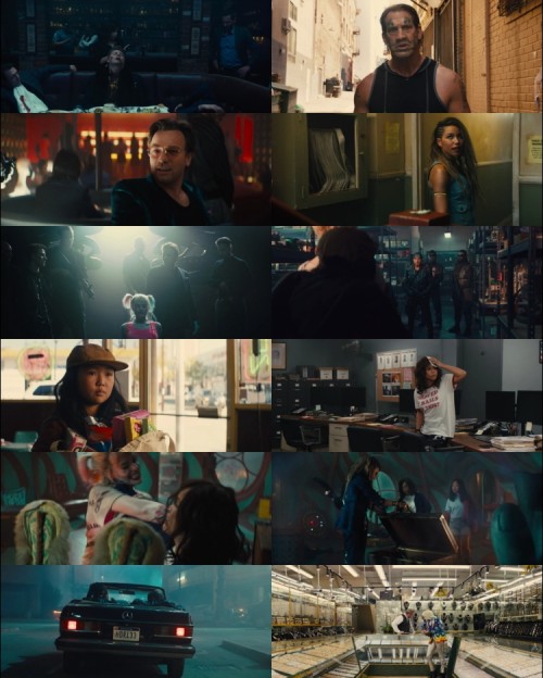 Birds.of.Prey.2020.1080p.BluRay.Hindi.English.DD.5.1.x264.ESubs_s.jpg
