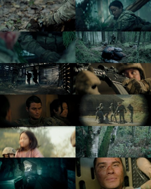 www.FiberMovies.com---Valiant.One.2025.1080p.WEB.HDRip.Hindi.Dual.DD.2.0.x264.ESubs_s.jpg