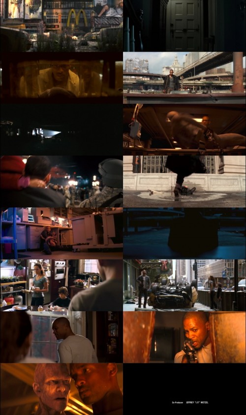 I.Am.Legend.2007.1080p.BluRay.Hindi.English.DD.5.1.x264.ESubs_s.jpg