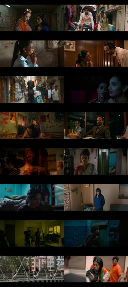 The-Shameless-2024-Hindi-www.ExtraFlix.TV-1080p-Web-DL-x264-ESubs-Untouch_s.jpg