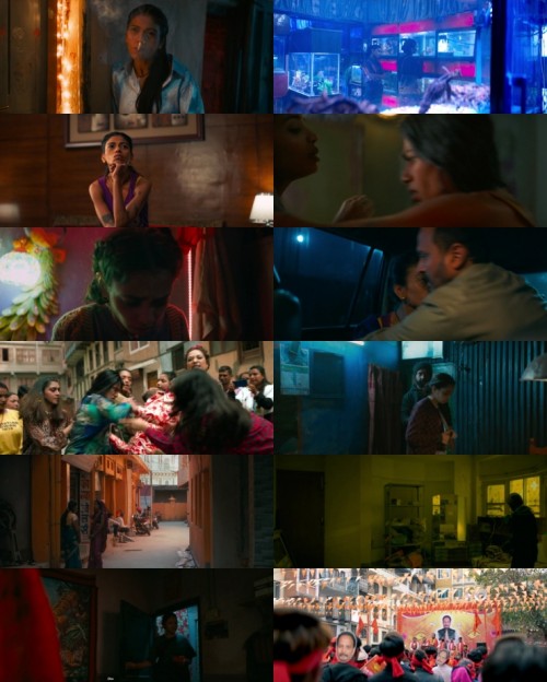 www.FiberMovies.com---The.Shameless.2024.1080p.WEB.HDRip.Hindi.DD.5.1.x264.ESubs_s.jpg