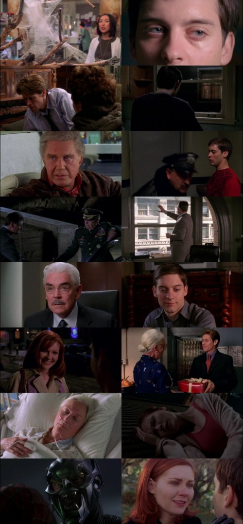 Spider.Man.2002.1080p.BluRay.Hindi.English.DD.5.1.x264.ESubs_s.jpg