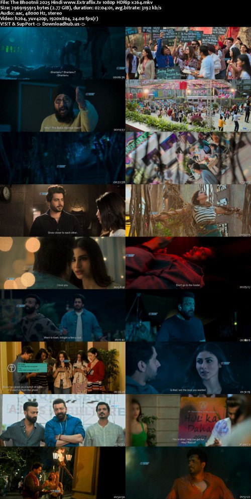 The-Bhootnii-2025-Hindi-www.Extraflix.tv-1080p-HDRip-x264_s.jpg