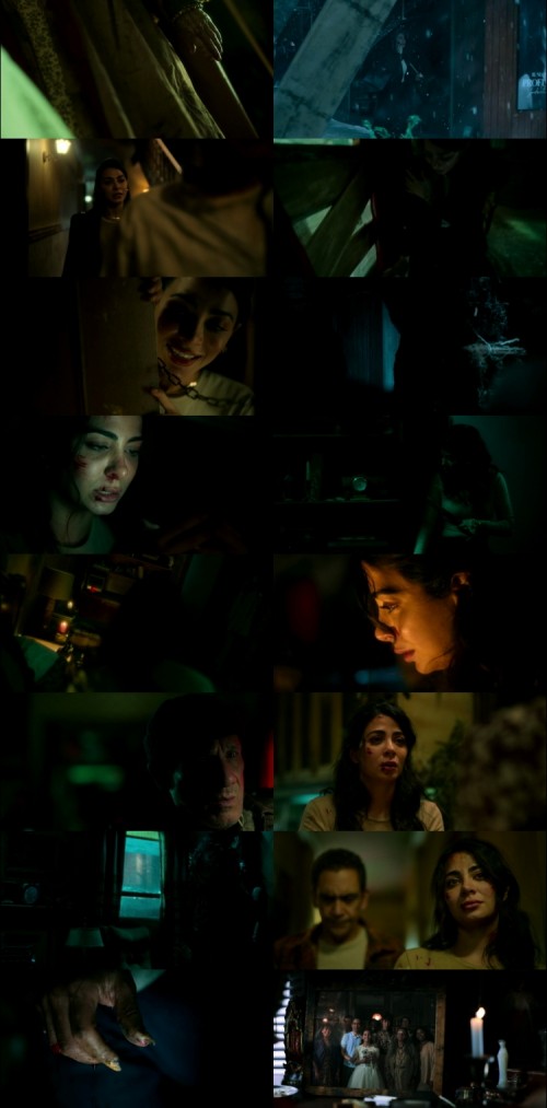 Rosario.2025.1080p.WEB.HDRip.English.DD.5.1.x264.www.FiberMovies.com_s.jpg