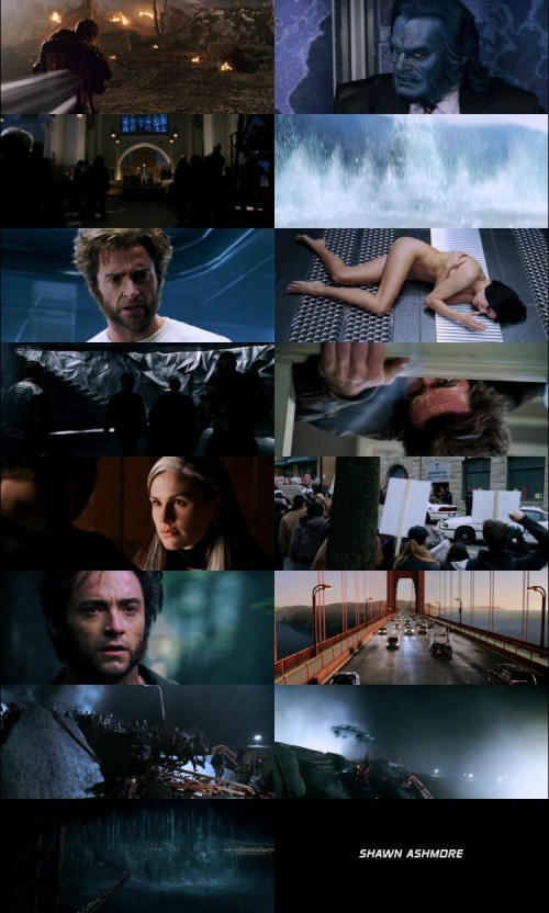 X-Men.3.The.Last.Stand.2006.1080p.BluRay.Hindi.English.DD.2.0.x264.ESubs_s.jpg